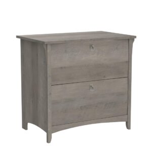 Bush Furniture Salinas Lateral 2 Cabinet Filing Drawer | Home Office Storage Organizer, Driftwood Gray