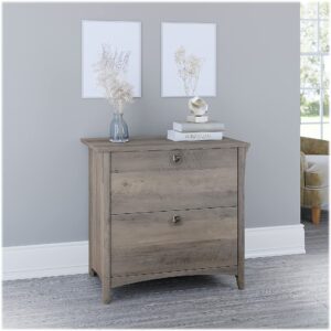 Bush Furniture Salinas Lateral 2 Cabinet Filing Drawer | Home Office Storage Organizer, Driftwood Gray