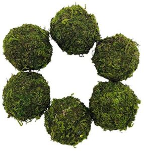zorpia natural preserved moss hanging ball vase bowl filler for garden, wedding, party decoration (3.5"(6 pack), green)