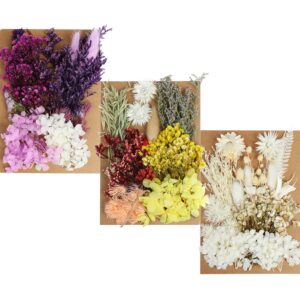 131pcs diy dried flowers daisies leaves, hydrangeas, multiple natural pressed flowers colorful decorative dried flowers for diy craft (color 1)