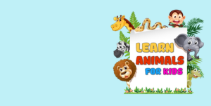learn animals for kids