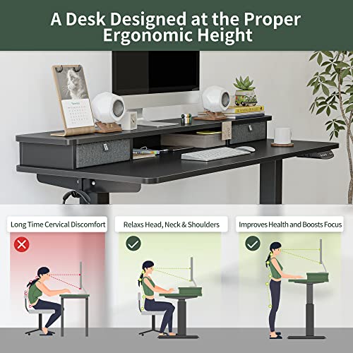 FEZIBO 48 x 24 Inch Height Adjustable Electric Standing Desk with Double Drawer, Stand Up Desk with Storage Shelf, Sit Stand Desk, Light Rustic/Black Frame