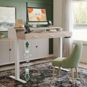 FEZIBO Height Adjustable Electric Standing Desk with Pencil Holder, 55 x 24 Inches Stand Up Desk, Sit Stand Desk with White and Light Rustic Top and White Frame