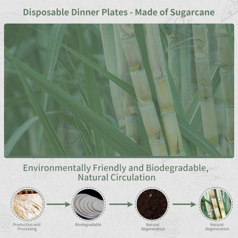 Chinette Paper Plates Dinner (7 inch 50 Pcs) + Disposable Plates (9 inch 50 Pcs), Dessert Plates Disposable, Compostable Biodegradable Dinner Plates, Set of 100, Suitable for Restaurant/Fast Food Shop