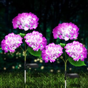 tynled solar lights outdoor decorative - 2 pack hydrangea solar garden stake lights waterproof and realistic led flowers powered outdoor in-ground lights for garden lawn patio backyard (purple)