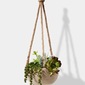 Serene Spaces Living Paulownia Hanging Wood Bowl with Jute Rope, Hanging Faux Succulent and Artificial Plants, Ideal for Home, Garden, Office Decor, Measures 4.5" Tall and 9.25" Diameter