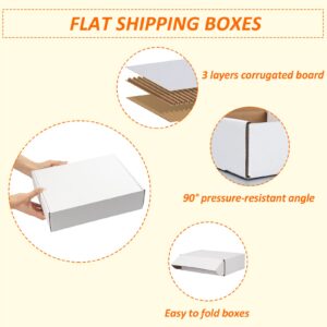 HORLIMER 12x9x3 inches Shipping Boxes Set of 20, White Corrugated Cardboard Box Literature Mailer