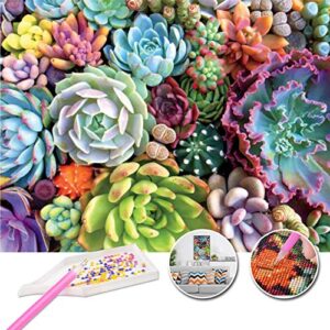 5d diamond painting succulents kits,most popular diy decoration, used for bedroom, dining room, and home decoration. 5d square diamond painting, gift for parents and children (12/16) inch