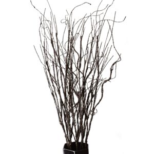 feilix 10pcs lifelike curly willow branches decorative dried artificial twigs, 30.7 inches fake bendable sticks vintage vines/stems diy greenery plants craft vases home garden hotel farmhouse decor