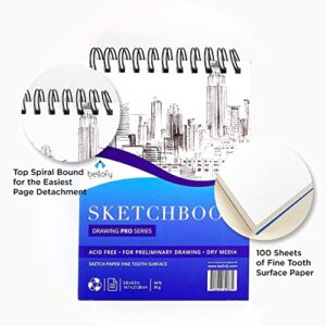 Bellofy Artist Drawing Set Sketching Drawing Kit -100 Sheet Sketchbook - Variety of Sketch/Charcoal Pencils Set for Drawing - Shading Pencils For Sketching from 3H-12B - 30 piece - Erasers & Sharpener