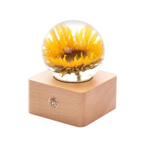 miss li garden forever teddy sunflower crystal ball with led lights,best gifts for her wife girlfriend women, anniversary, mothers day, birthday, valentine's day home décor