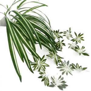 Artificial Chlorophytum Silk Flowers, Flowers Spider Plant Fake Greenery Faux Plant Hanging Basket Ivy Green Leaves Wall Hanging Plants for Home Garden Office Wedding Decoration (Green , One Size )