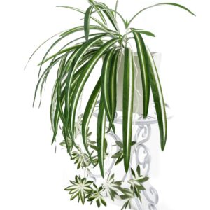 Artificial Chlorophytum Silk Flowers, Flowers Spider Plant Fake Greenery Faux Plant Hanging Basket Ivy Green Leaves Wall Hanging Plants for Home Garden Office Wedding Decoration (Green , One Size )