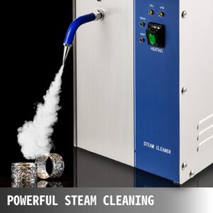 VEVOR Jewelry Steam Cleaner 4L Jewelry Cleaner Machine 2200W Jet Jewelry Steam Cleaner 220V 4KG Silver & Gold Steam Cleaner Goldsmith Equipment For Gold Sliver Jewelry 220V