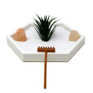 nature's mark mini zen garden kit for desk with white sand, rake, white base, salt rock and air plant (round)