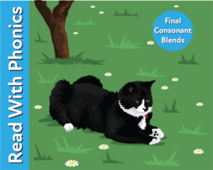 learn final consonant blends and read the sentences