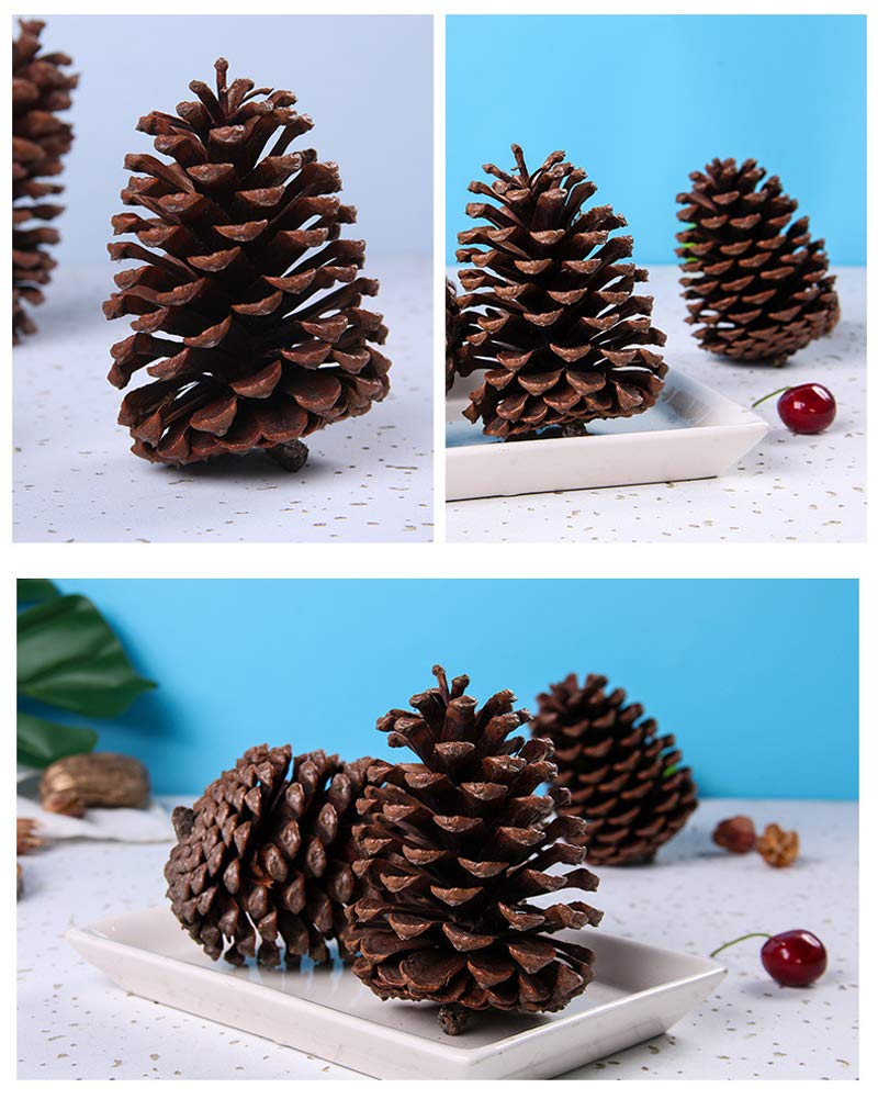 Pine Cones 3.5" to 4.7" Tall Christmas PineCones Giant Large Natural Pinecones for Home Accent Decor, 4 PCS, Bug Free (Large PineCones)