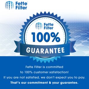 Fette Filter - 2 Premium True HEPA Filters Compatible with 3M Filtrete F2 Air Purifier Filter for Models #'s FAP-C02WA-G2,FAP-C03BA-G2, FAP-T03BA-G2, FAP-C02-F2, FAP-T03-F2 13"x8.2" - Pack of 2