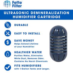 Fette Filter - Ultrasonic Demineralization Humidifier Replacement Cartridges Filters Mineral Deposits, Purifies Water, Eliminates White Dust, Removes Odor, Compatible with HoMedics - Pack of 10