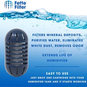 Fette Filter - Ultrasonic Demineralization Humidifier Replacement Cartridges Filters Mineral Deposits, Purifies Water, Eliminates White Dust, Removes Odor, Compatible with HoMedics - Pack of 10