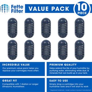 Fette Filter - Ultrasonic Demineralization Humidifier Replacement Cartridges Filters Mineral Deposits, Purifies Water, Eliminates White Dust, Removes Odor, Compatible with HoMedics - Pack of 10