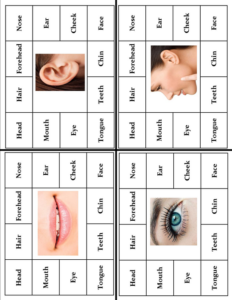 parts of the body vocabulary activities