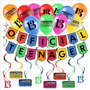 funny official teenager 13th birthday party pack - multicolor 13th birthday party supplies, decorations and favors