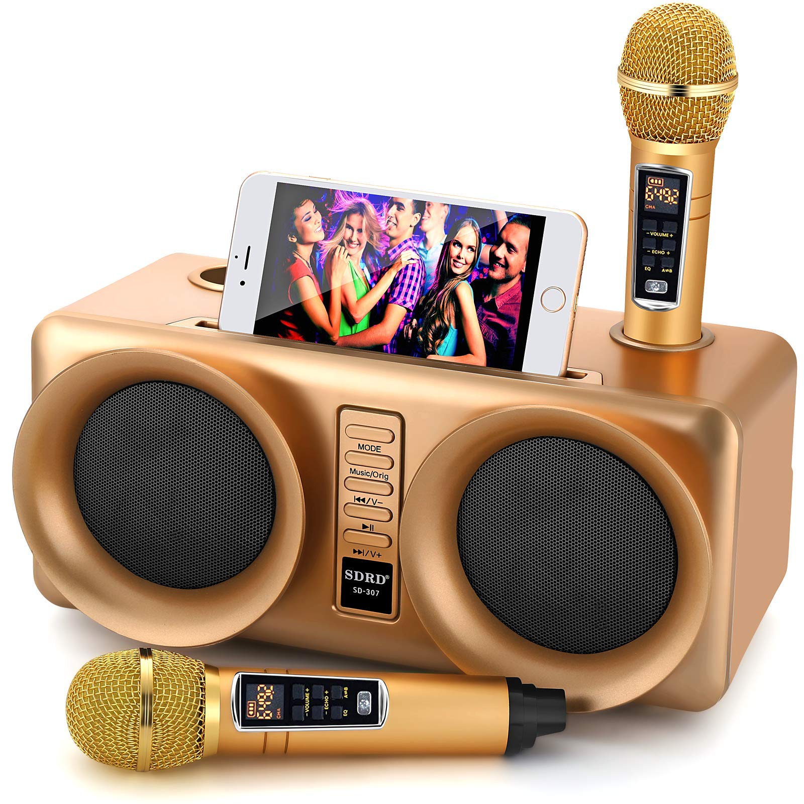 ALPOWL Karaoke Machine for Kids Adults with 2 UHF Wireless Microphone, Portable Bluetooth Speaker PA System with LED Lights for Home Party, Wedding, Church, Picnic, Outdoor/Indoor (Gold I)