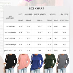 FARYSAYS Women's Winter Clothes for Women Casual Crewneck Sweatshir Long Sleeve Solid Color Shirt Soft Lightweight Loose Tops Pink Small