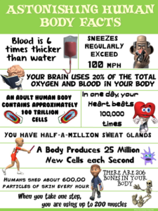 health and science poster: astonishing human body facts