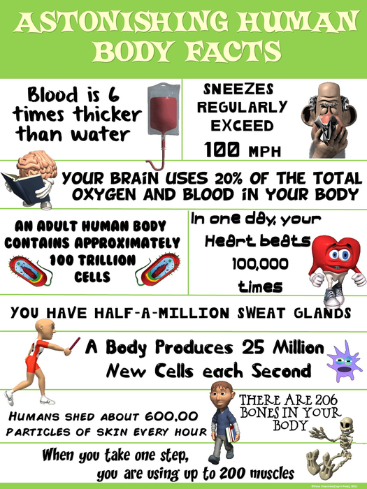 Health and Science Poster: Astonishing Human Body Facts