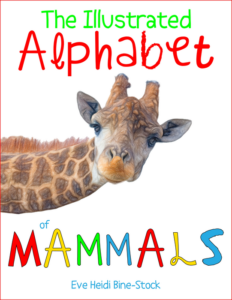 the illustrated alphabet of mammals
