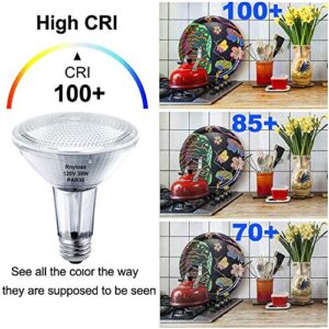 PAR30 Long Neck, 6PCS PAR30L Flood Light Bulbs，Dimmable, PAR30 Bulb 120V 50W Replacement, Long Lasting Lifetime, High brightness & Warm White, E26 Medium Screw Base, 39PAR30/FL for Recessed Light Bulb