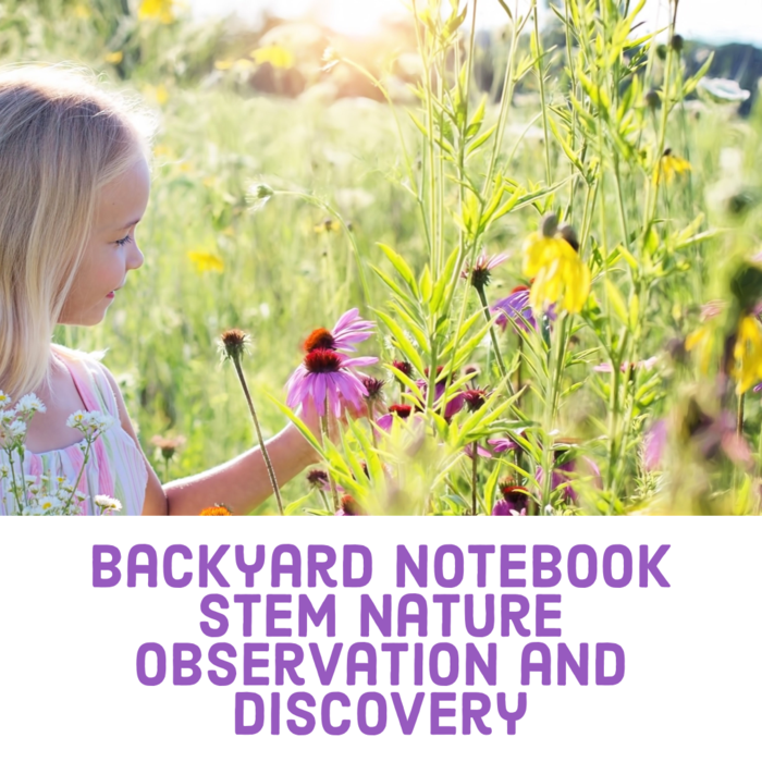 Backyard Notebook: 1st 2nd 3rd 4th Grade STEM Nature Observation and Discovery