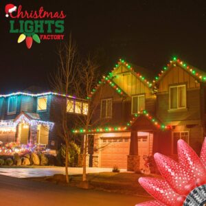 CHRISTMAS LIGHTS FACTORY - C9 - RED - Super Bright LED Crunchy Bulbs - 25 Bulbs ONLY - Commercial Grade - Dimmable - Indoor & Outdoor. Be a Beacon of Holiday Spirit, Joy, & Light.