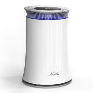 air purifiers for home large room, for bedroom