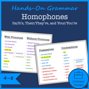 homophones hands-on grammar lesson on its/it's, their/they're, your/you're
