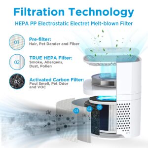 Membrane Solutions MSB3 Desktop Air Purifier Filter Replacement, 3-in-1 True HEPA Filter - 1 Pack - Membrane Solutions