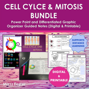 cell cycle and mitosis: powerpoint and guided notes (digital & printable)