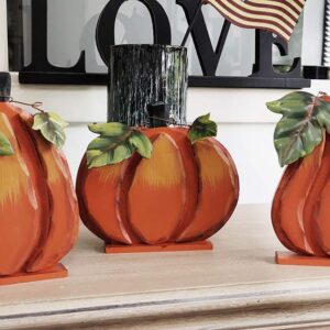 Grace Home Rustic Wooden Free Standing Pumpkin Decor Autumn Harvest Tabletop Shelf Kitchen Decorations Thanksgiving Halloween Pumpkins Sign Fall Decor-Set of 3