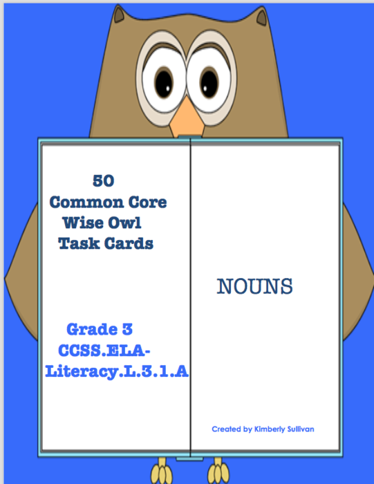 NOUNS! 50 TASK CARDS