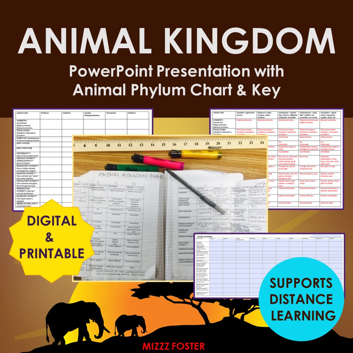 Animal Kingdom Graphic Organizer Chart Worksheet (Digital & Printable)