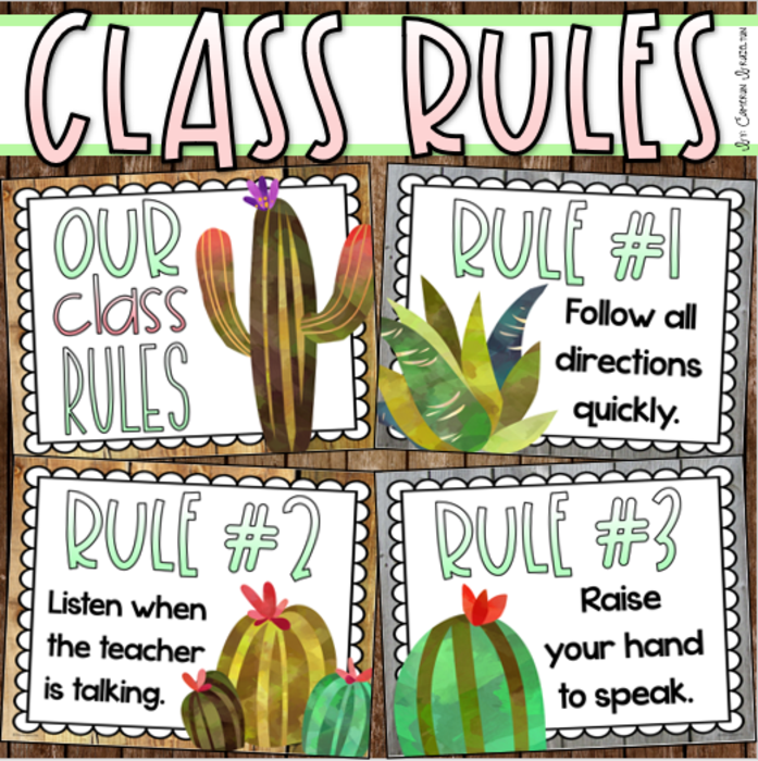 Classroom Rules Posters EDITABLE Rustic Farmhouse Theme
