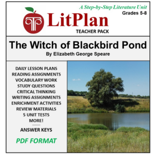 homeschool and online learning novel study guide for the witch of blackbird pond