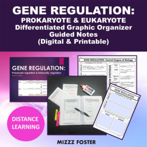 gene regulation (prokaryotic & eukaryotic): powerpoint & guided notes (digital & printable)