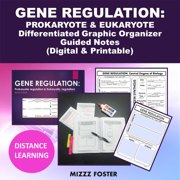 Gene Regulation (Prokaryotic & Eukaryotic): PowerPoint & Guided Notes (Digital & Printable)