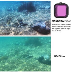 GEPULY Standard Waterproof Housing Case with Dive Filters for GoPro Hero 4, Hero 3+, Hero3 Action Cameras - 131 ft (40M) Underwater Photography - with Red, Light Red, Magenta Filters