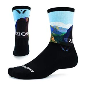 vision six impression, parks edition, running and cycling socks (zion, large)