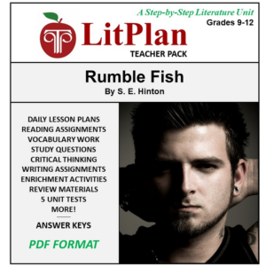 homeschool and online learning novel study guide for rumble fish