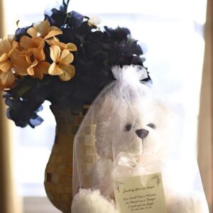 Cuddly Children's Sympathy Gift for Grieving Child, Stuffed Animal Angel Bear Plush with Gift Bag and Card for Memorial Funeral Present, Comfort Children for Loss of Loved One